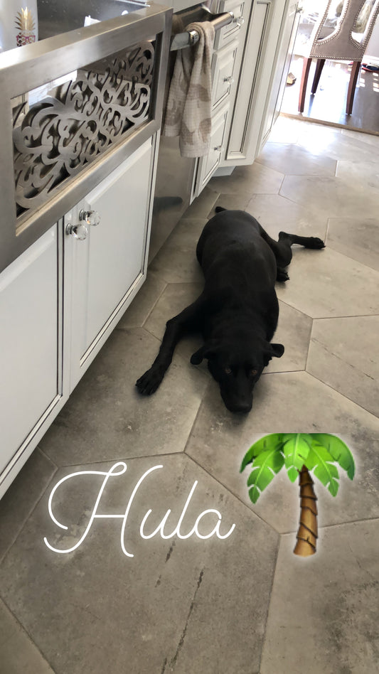Healthy homemade dog food recipe